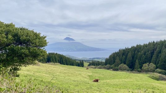 Blog Post Faial View to Pico Blog Post Faial View to Pico