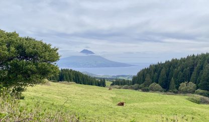 Three Reasons Not to Visit Faial & Pico