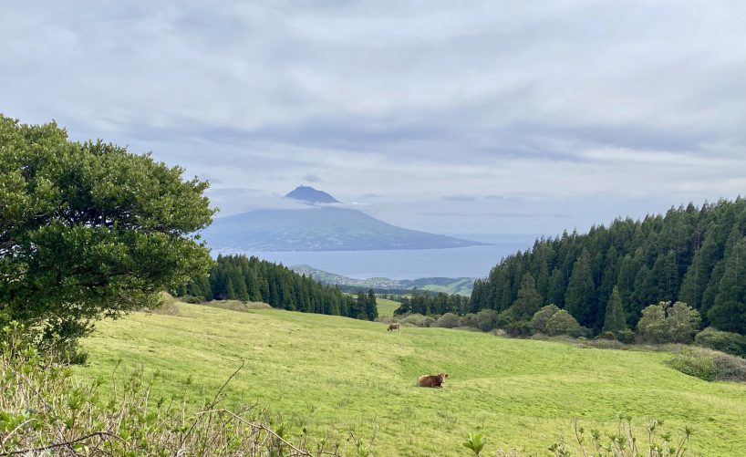 Three Reasons Not to Visit Faial & Pico