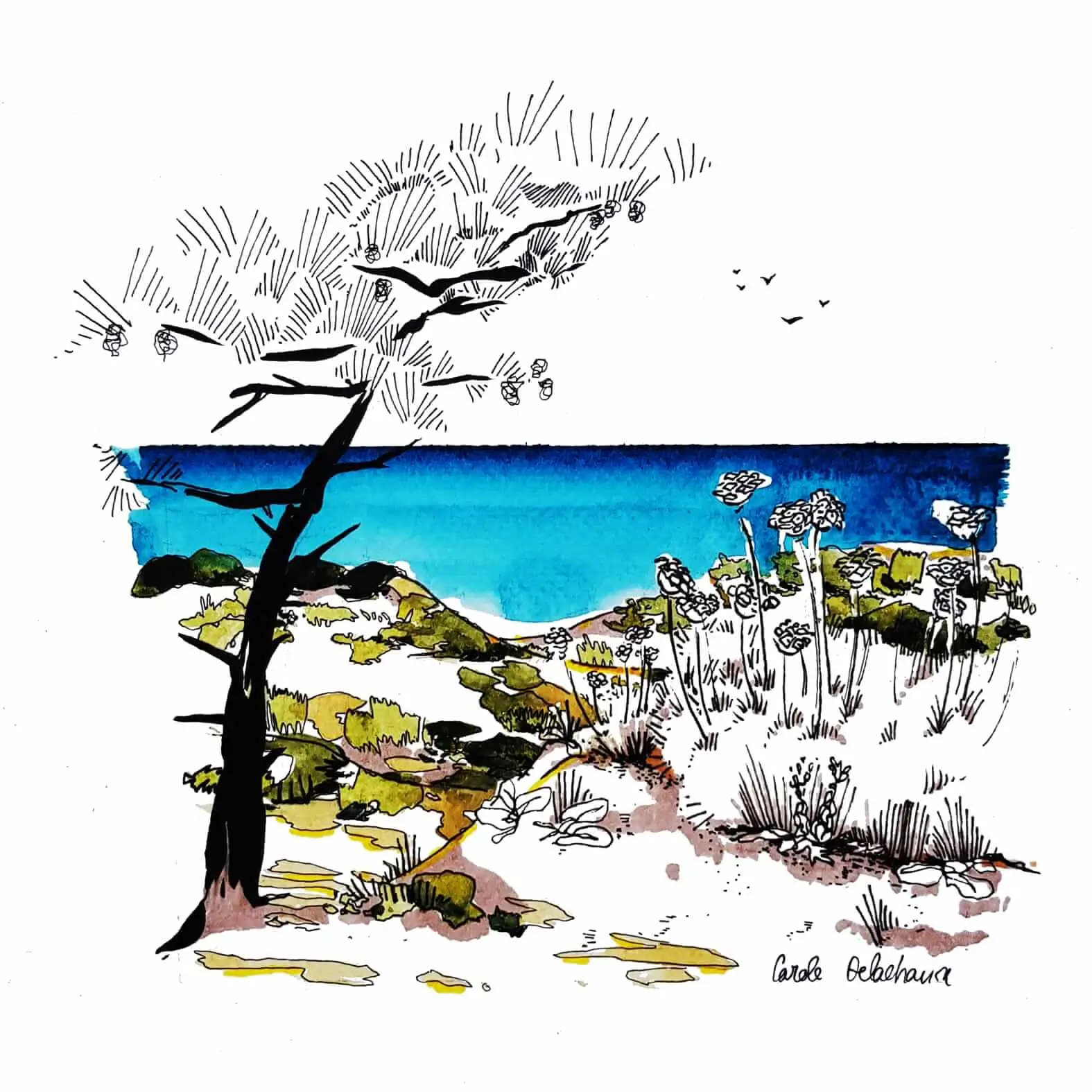 Comporta Holiday Rentals