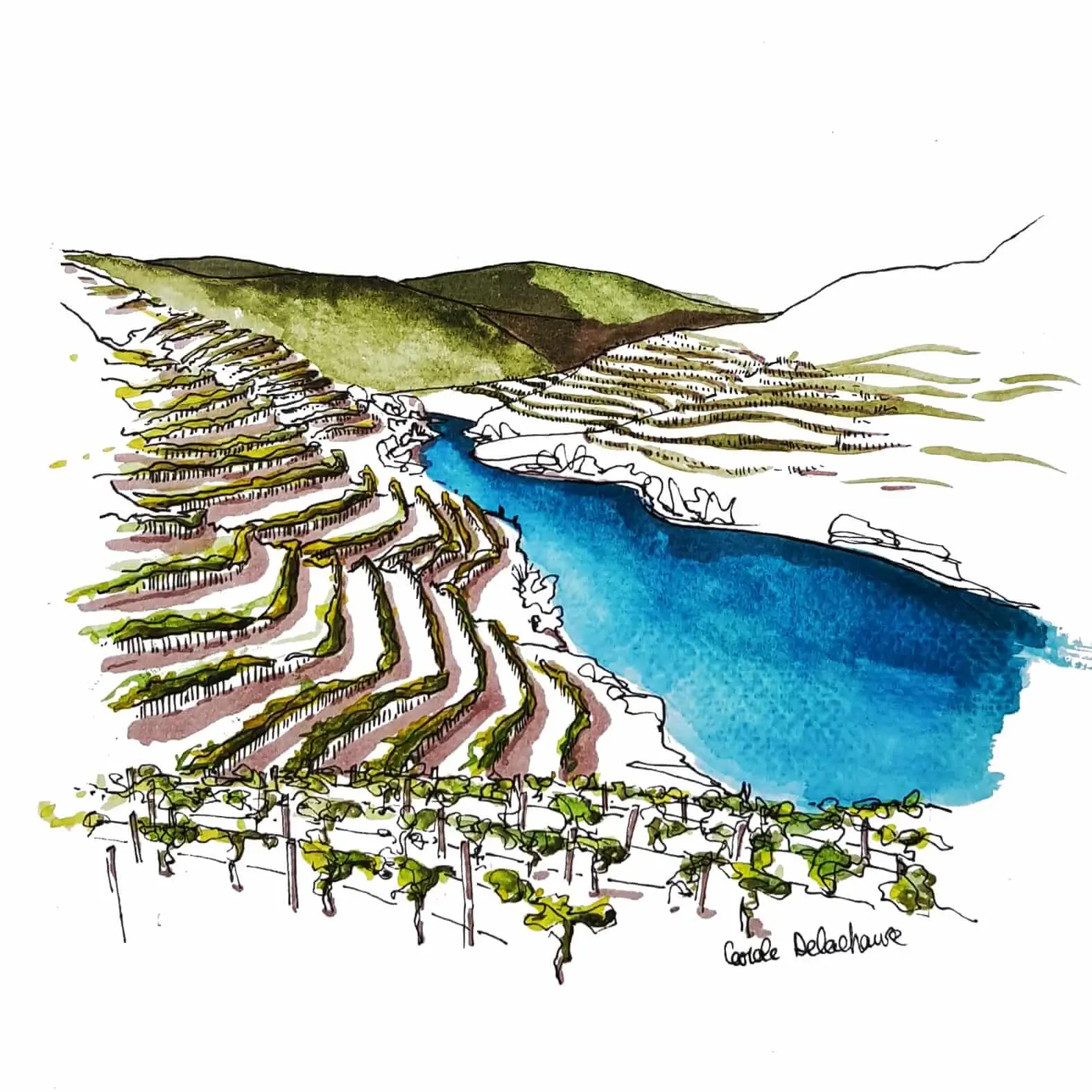 Douro Valley Holiday Rentals