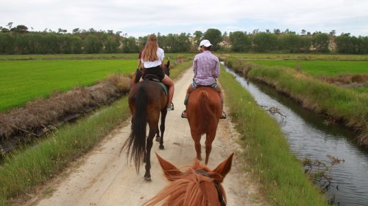 Experice Horse Riding in Comporta