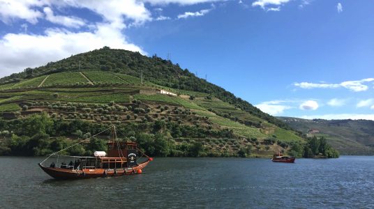 Experience Boat Trip Douro River