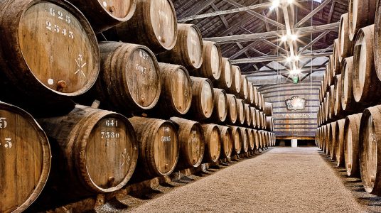 Port Tasting on the Douro Valley