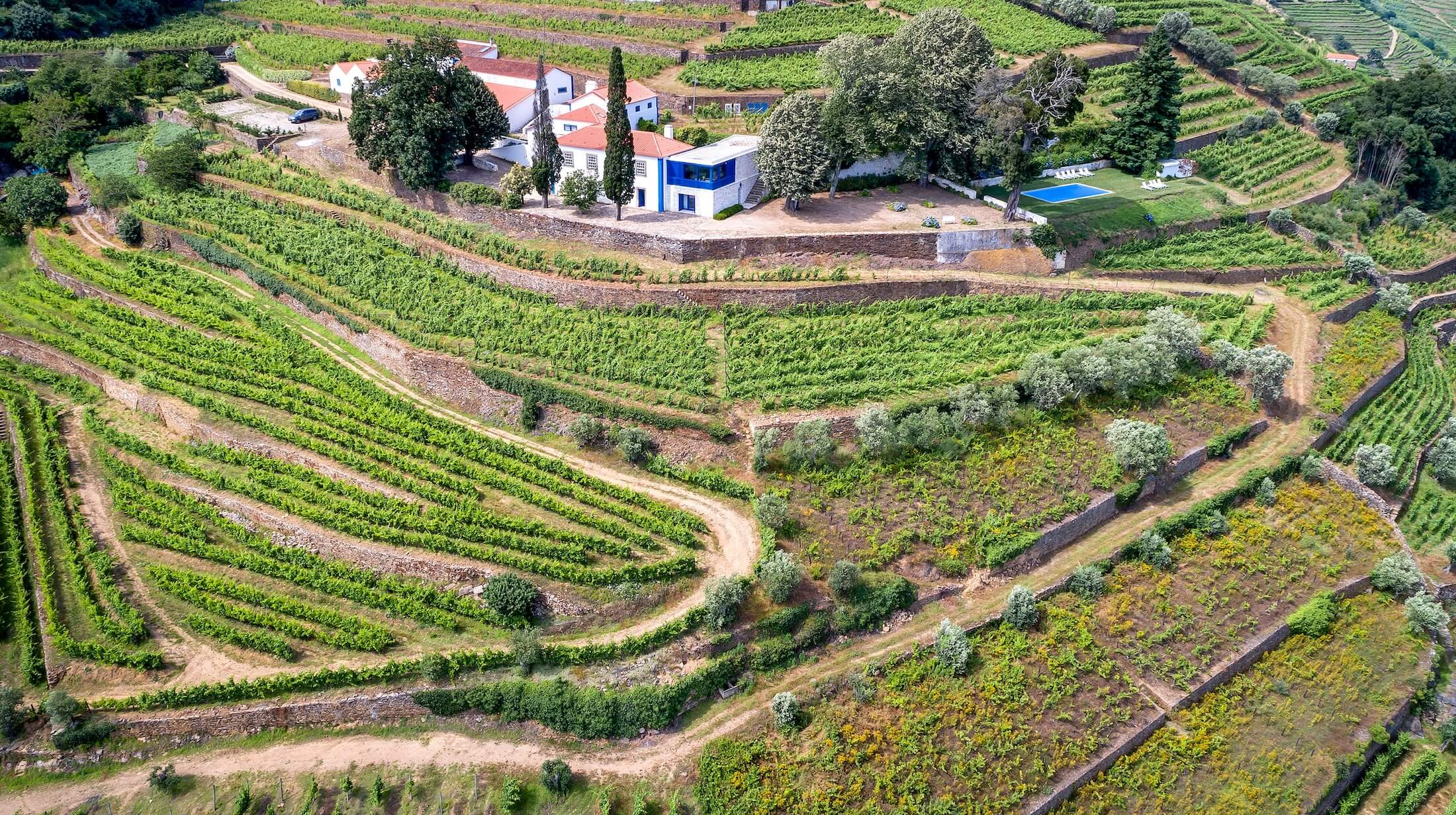 QtaBoavista BirdsEyeView