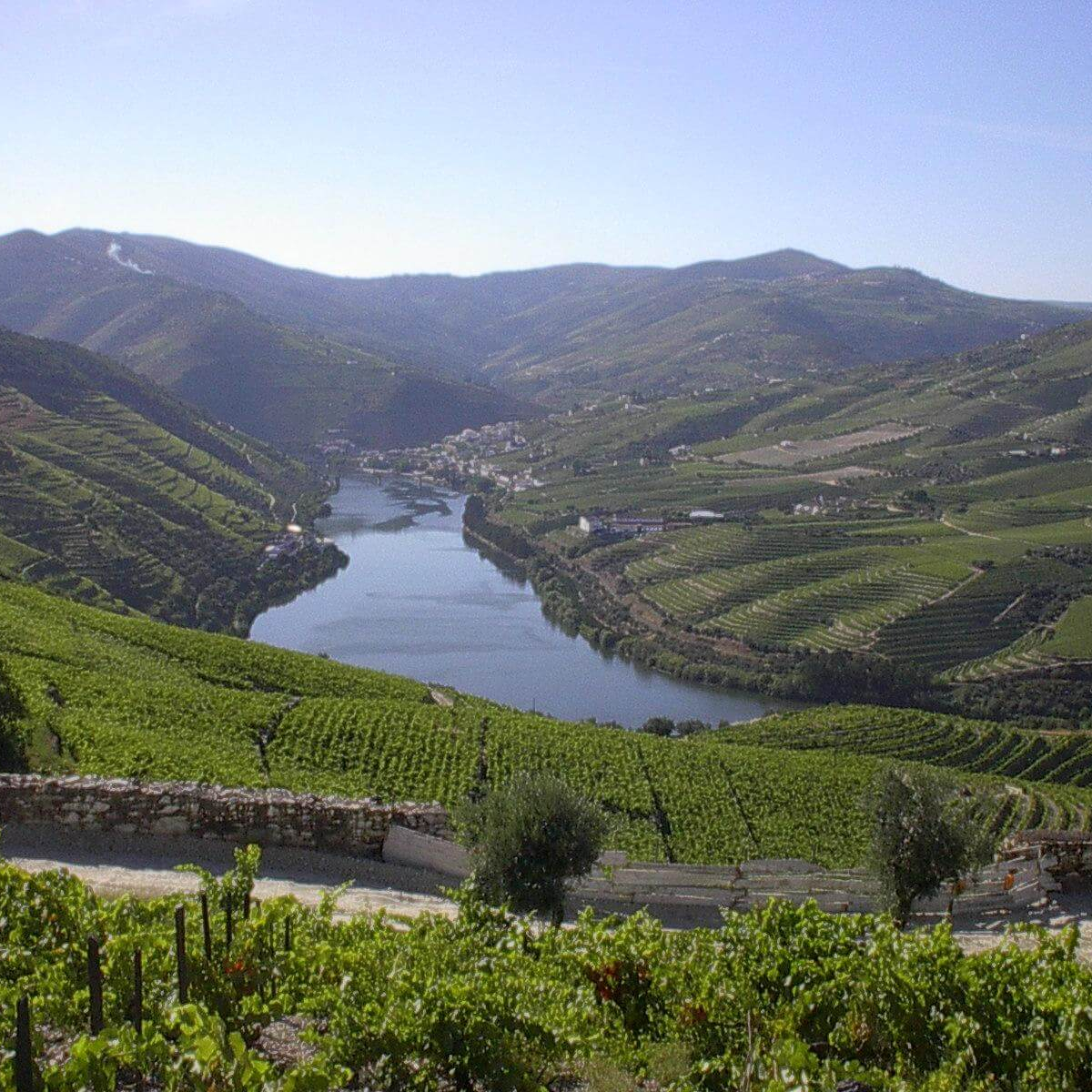 douro 3